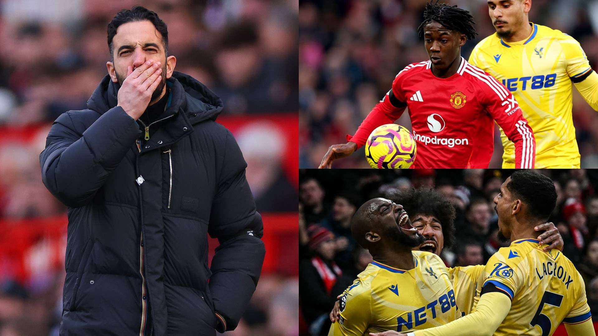 這也證明 這也證明