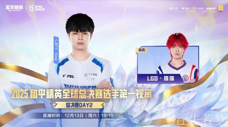 2025PMGC决赛第二天：TT-King第一视角（LGD-猫猫助阵）